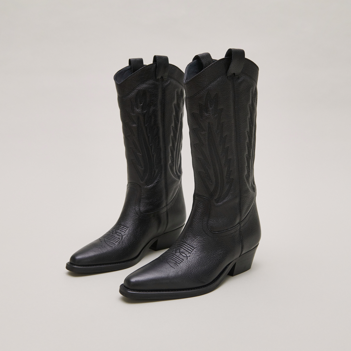 Bottes à bouts pointus et surpiqures app...